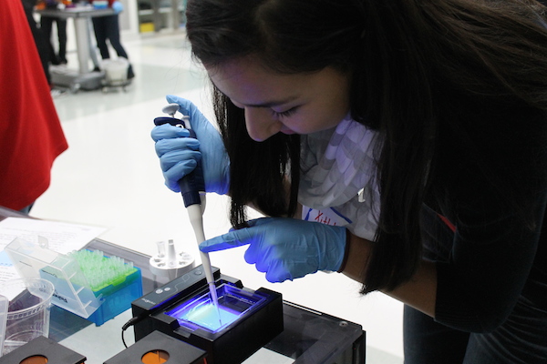 STEM Education and Gel Electrophoresis in the California Classroom