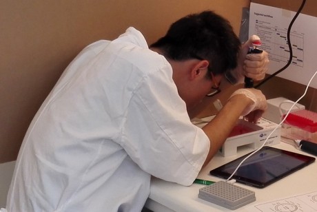 Student International Biology Olympiad Practical Tests (IBO) 2015