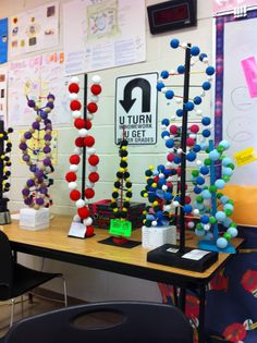 The MiniOne Electrophoresis - DNA Model