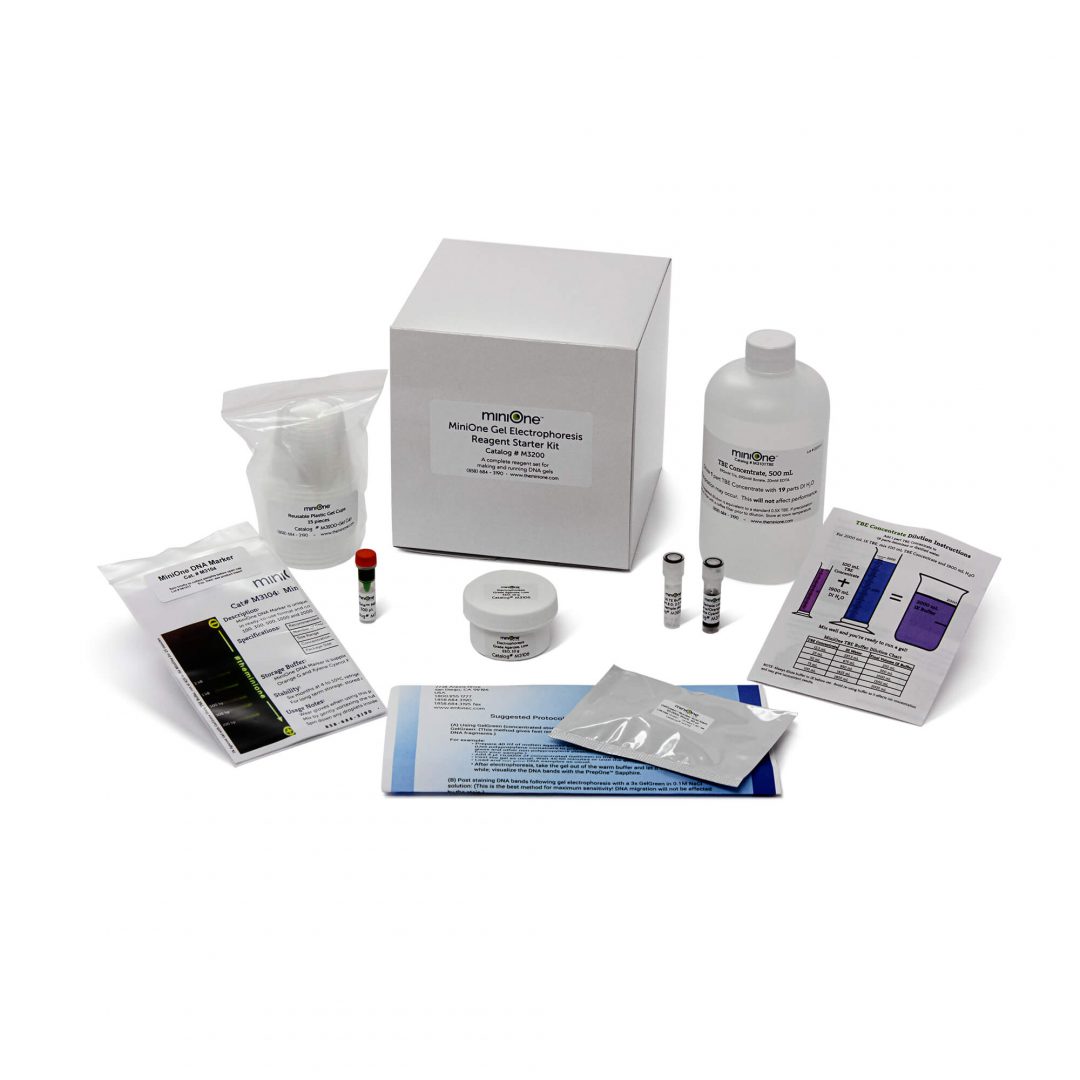 Electrophoresis 101 MiniLab (M3001) • MiniOne Systems