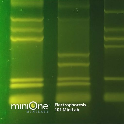 Electrophoresis 101 MiniLab