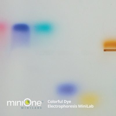 Colorful Dye Electrophoresis MiniLab