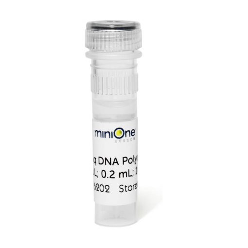 M6207 Taq DNA Polymerase MiniOne Systems