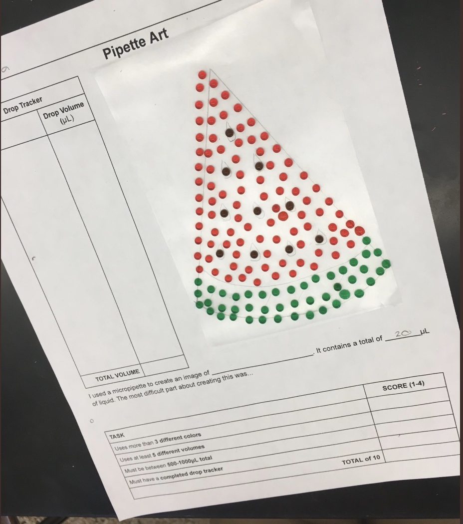 Art Project Teaches Students How to Use a Pipette • MiniOne Systems