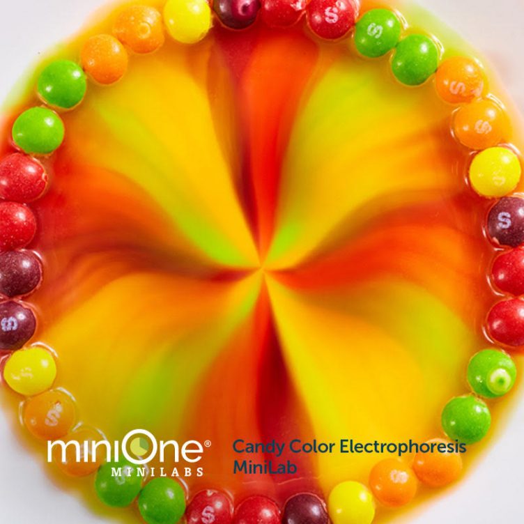 Candy Color Electrophoresis MiniLab (M3009) • MiniOne Systems