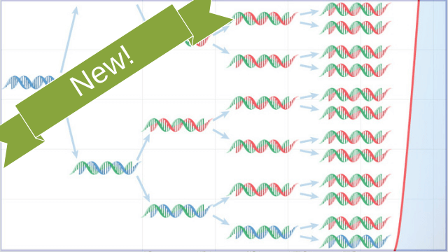 Colorful Dye Electrophoresis MiniLab