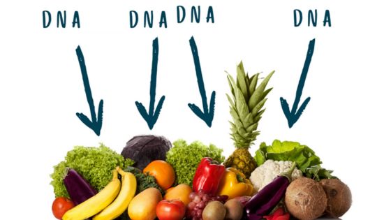 DNA Fingerprinting MiniLab
