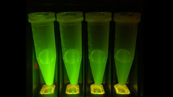 Electrophoresis 101 MiniLab