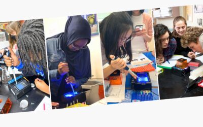 MiniOne for Everyone – Electrophoresis Now Just $199